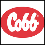 Coop - Bandırma